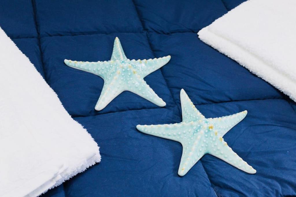 コンカ・デイ・マリーニ Rifugio Stellato Bed & Breakfast エクステリア 写真