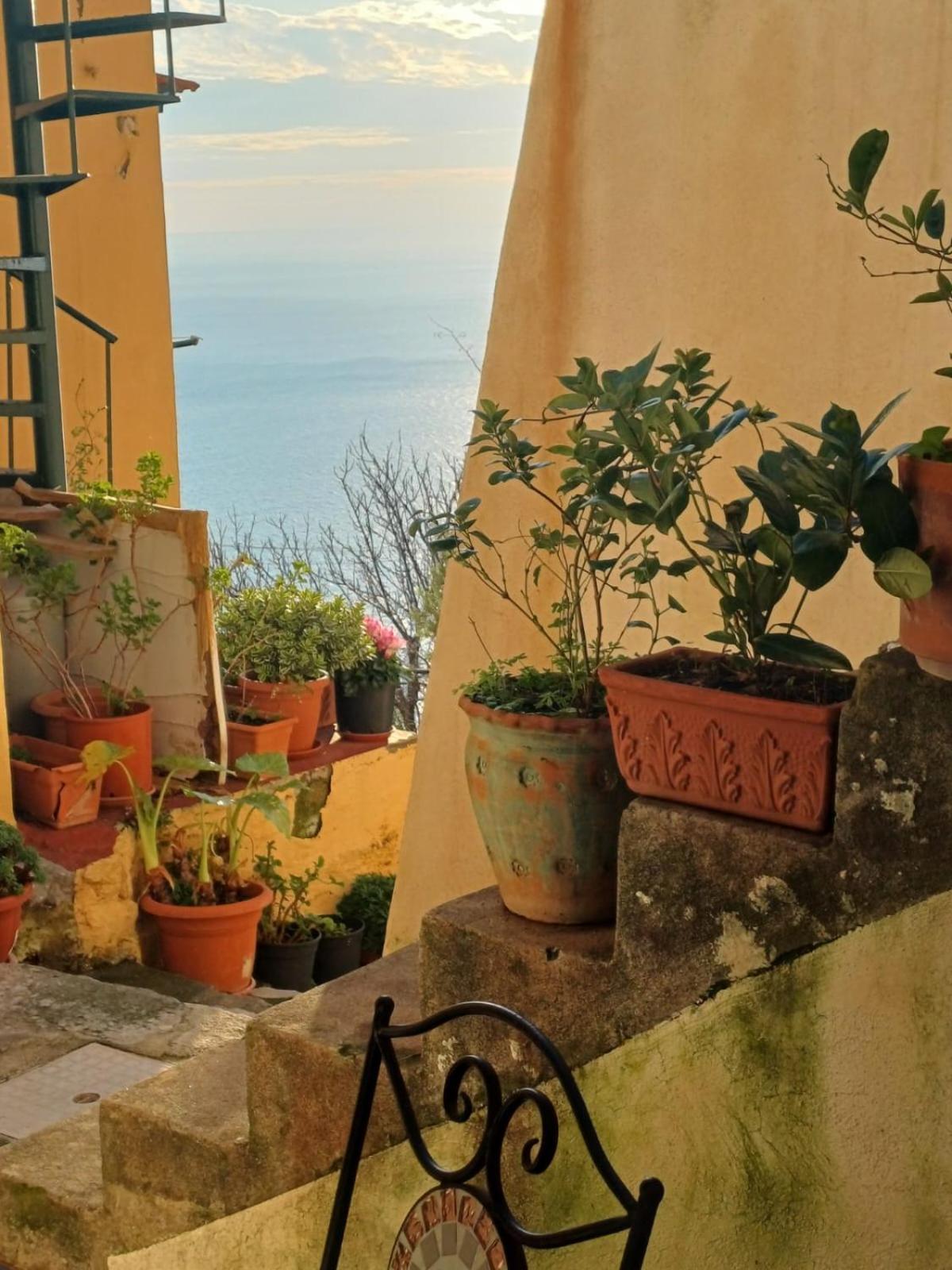 コンカ・デイ・マリーニ Rifugio Stellato Bed & Breakfast エクステリア 写真